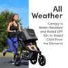 My Store BOB Gear Revolution Flex 3.0 Duallie jogging stroller in graphite black with two seats and adjustable handlebars.