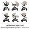 Evenflo Pivot NXT travel system with LiteMax NXT infant car seat in Latte Tan, featuring stroller frame and car seat attached