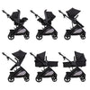 Baby Trend Passport Switch 6-in-1 stroller with EZ-Lift infant car seat in dash black, featuring a sleek black frame and versatile design.